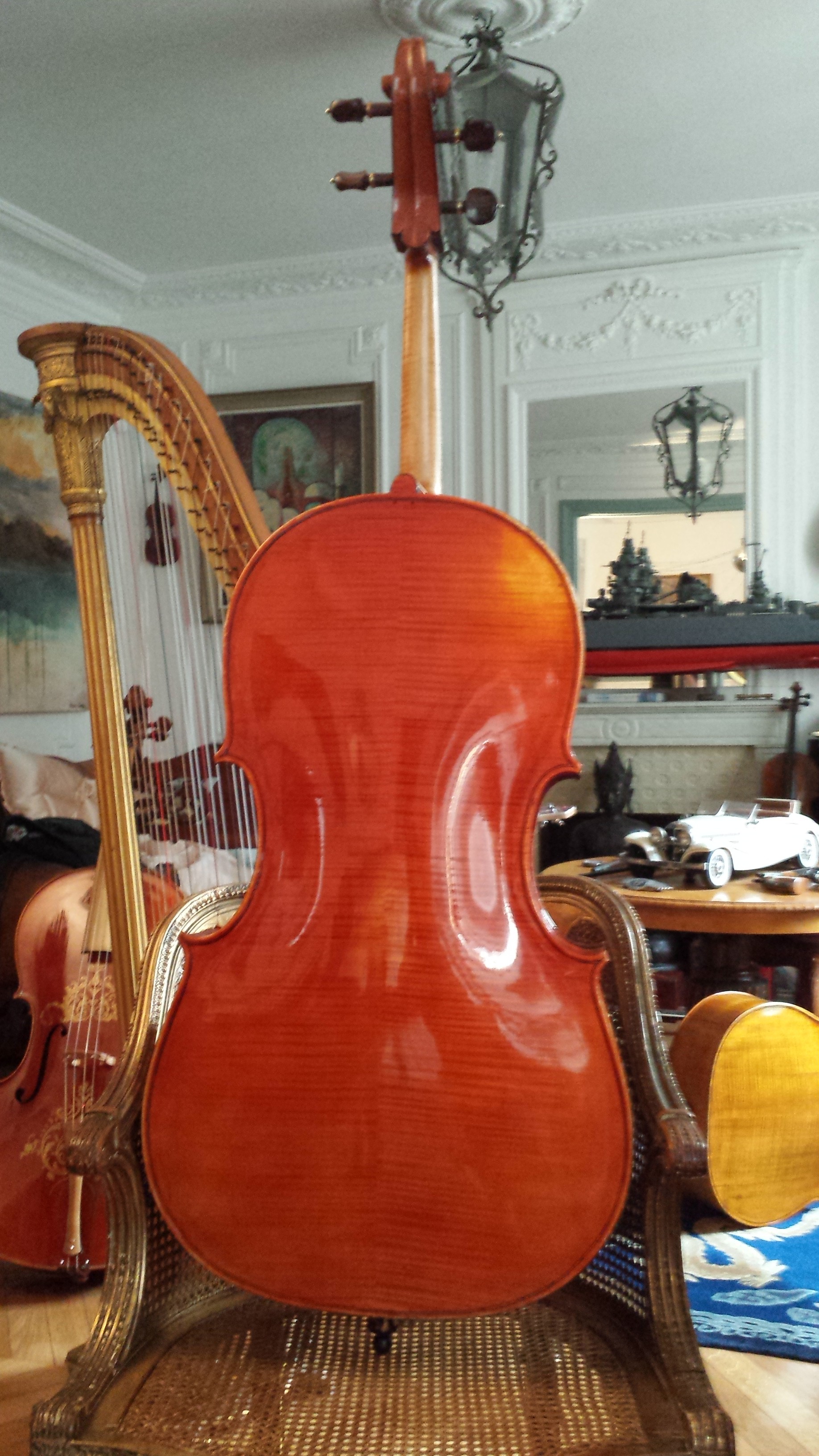 Cello Galimberti Back