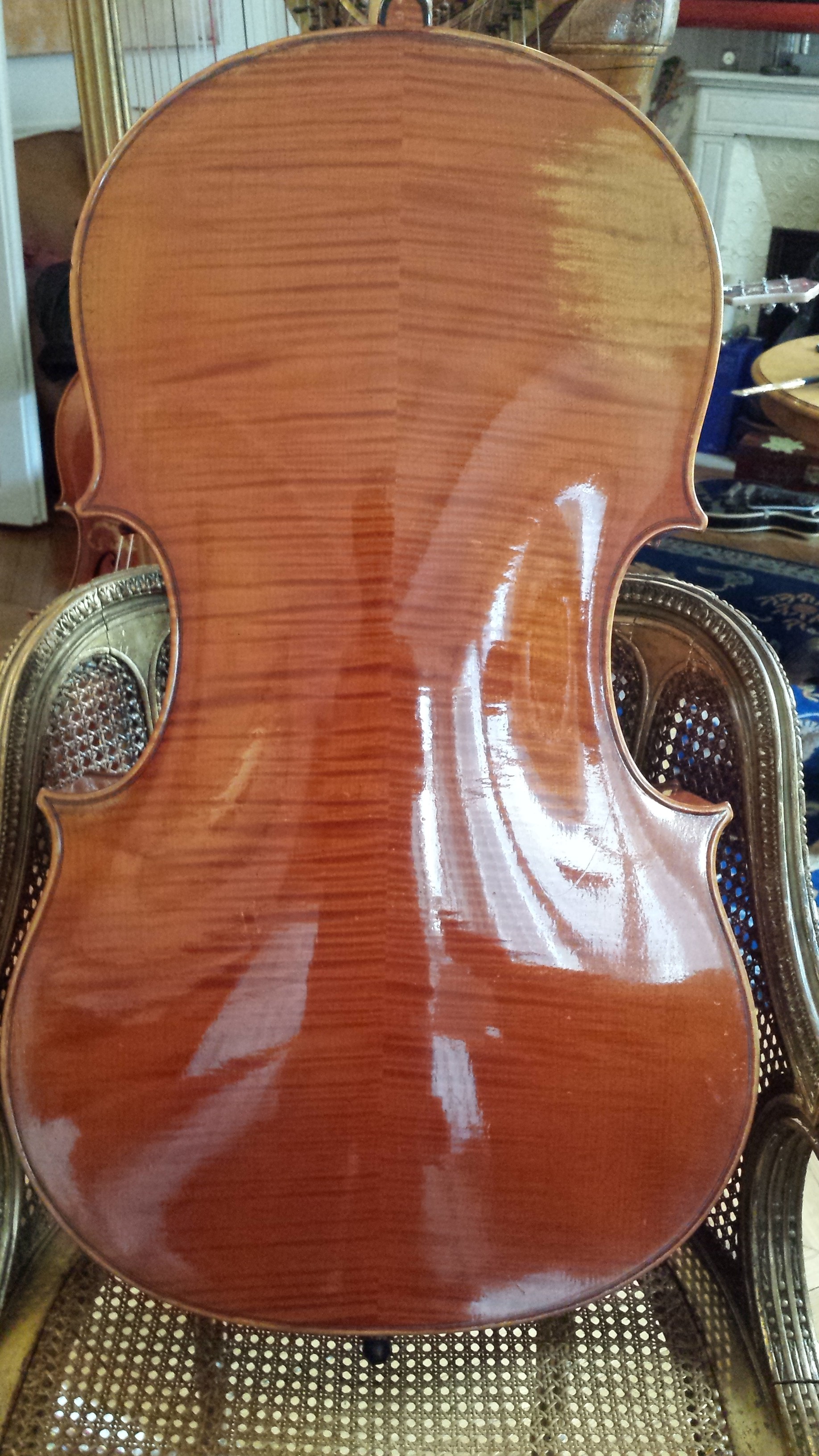 Cello Ornati Back 1934