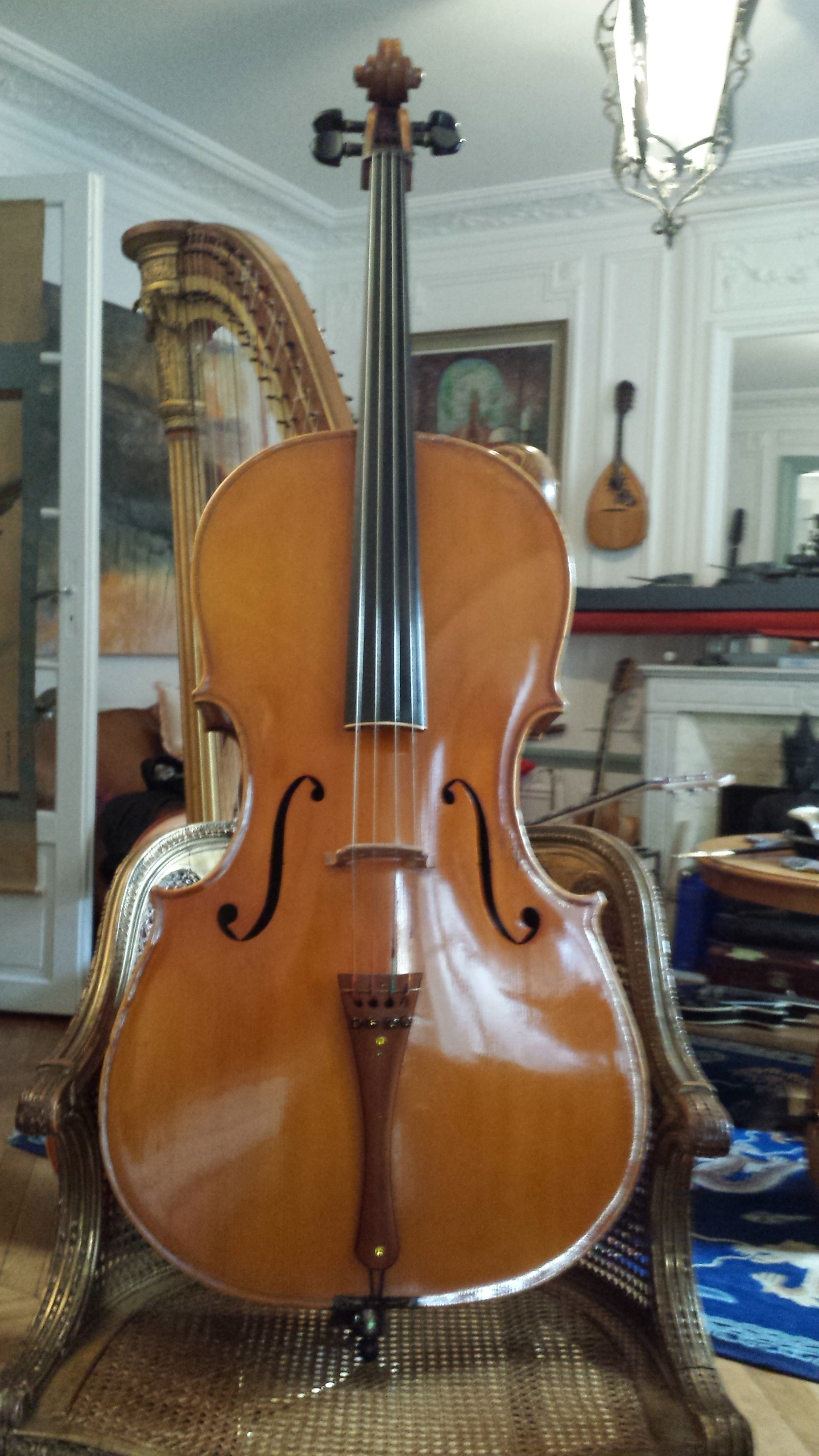 cello corsini 1953 cello collection