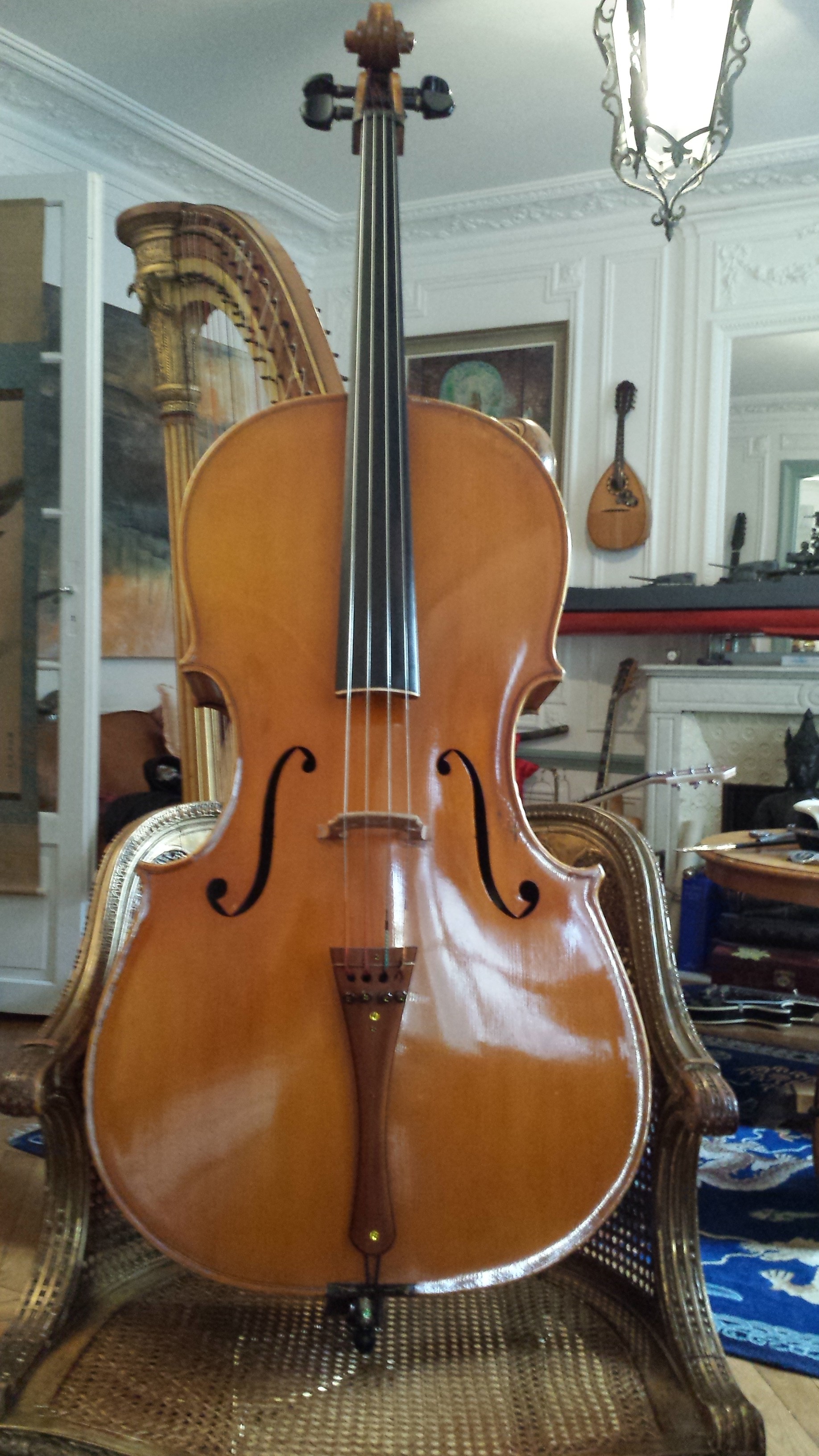 cello Corsini 1953 Cello Collection