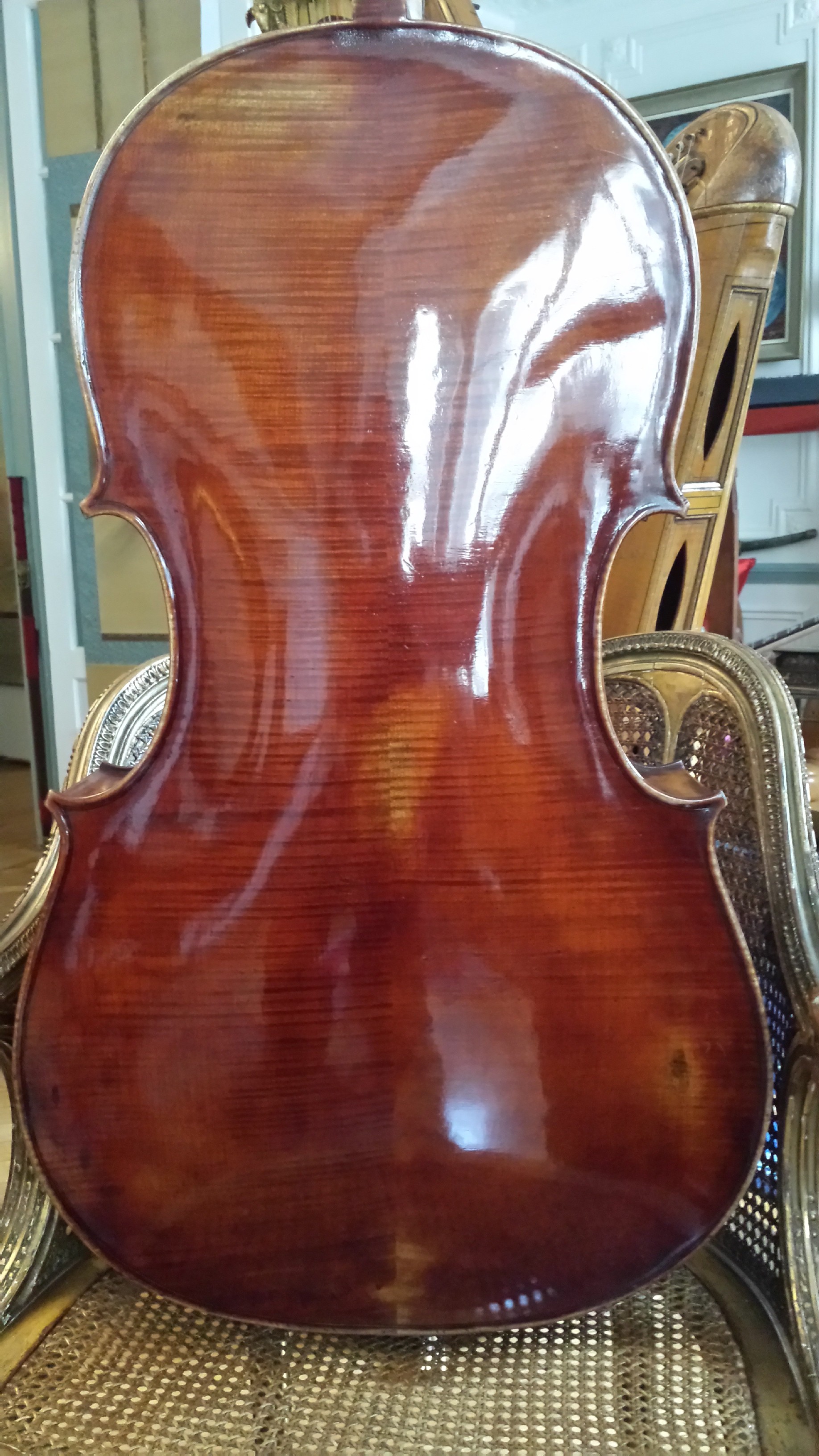 Cello Collection Emile Pouzol Back 1937