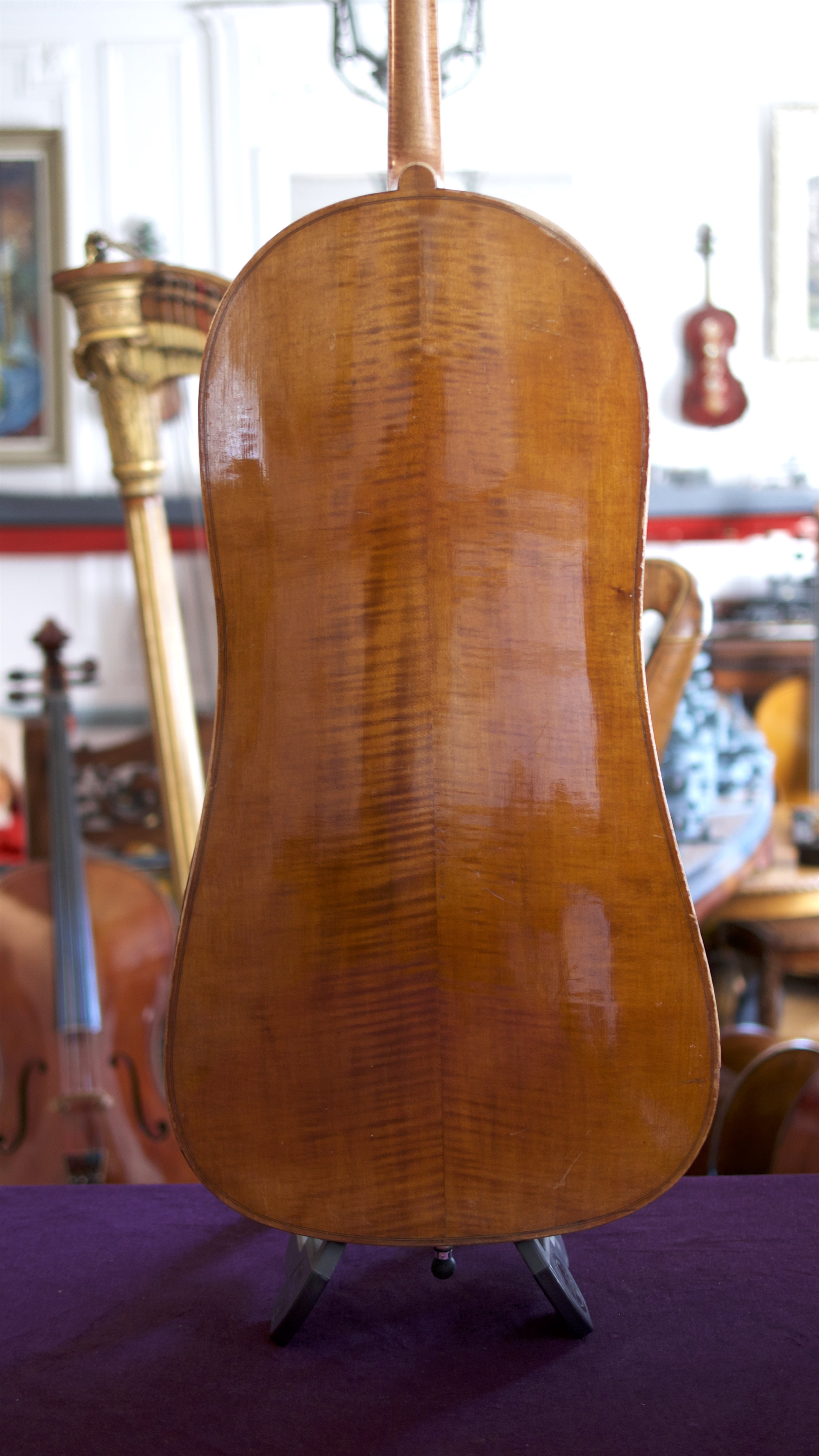 Cello-Amedee-Dieudonne-Back