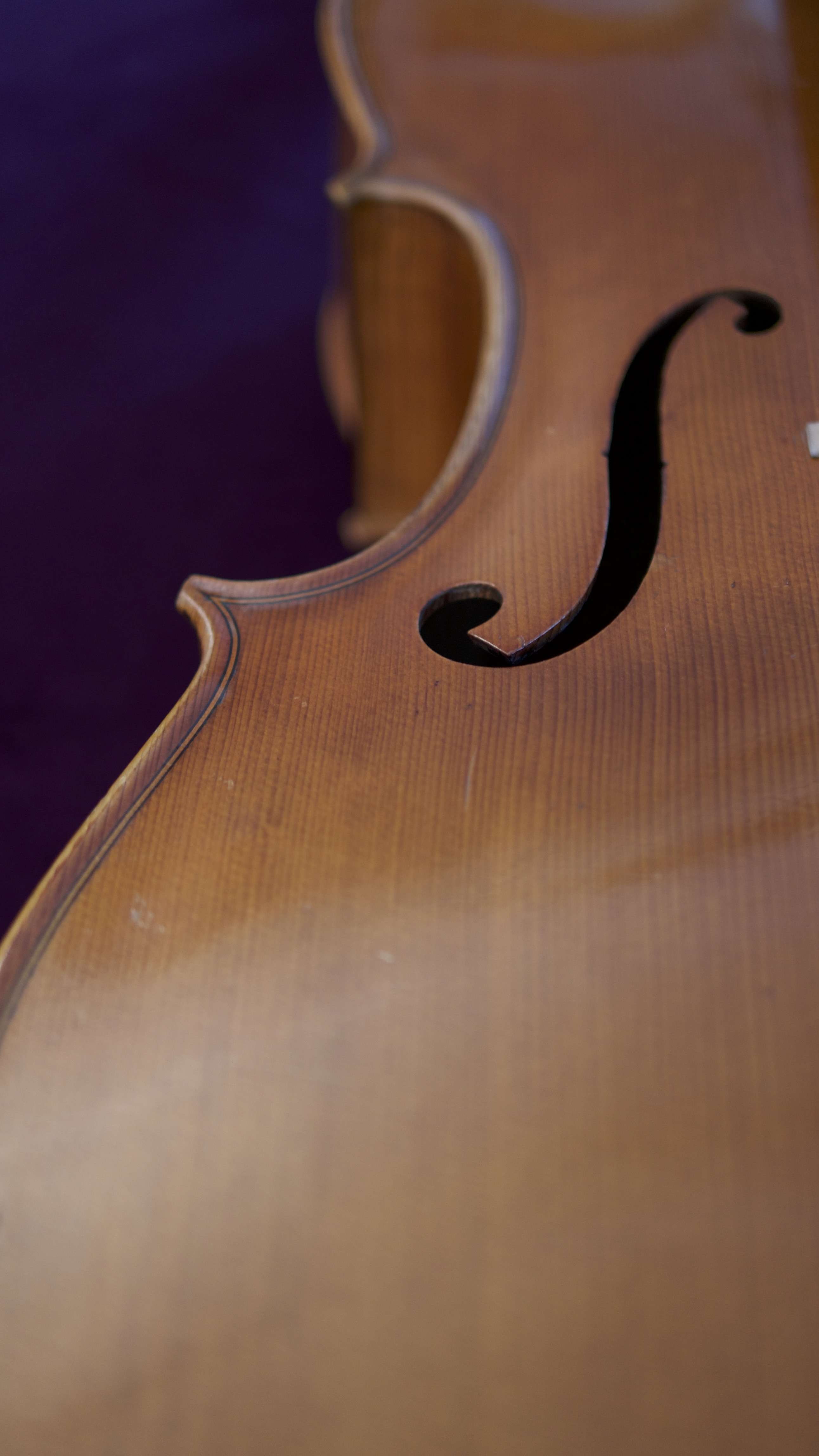 Cello-Cello-Giorgio-Corsini-F Cello Collection