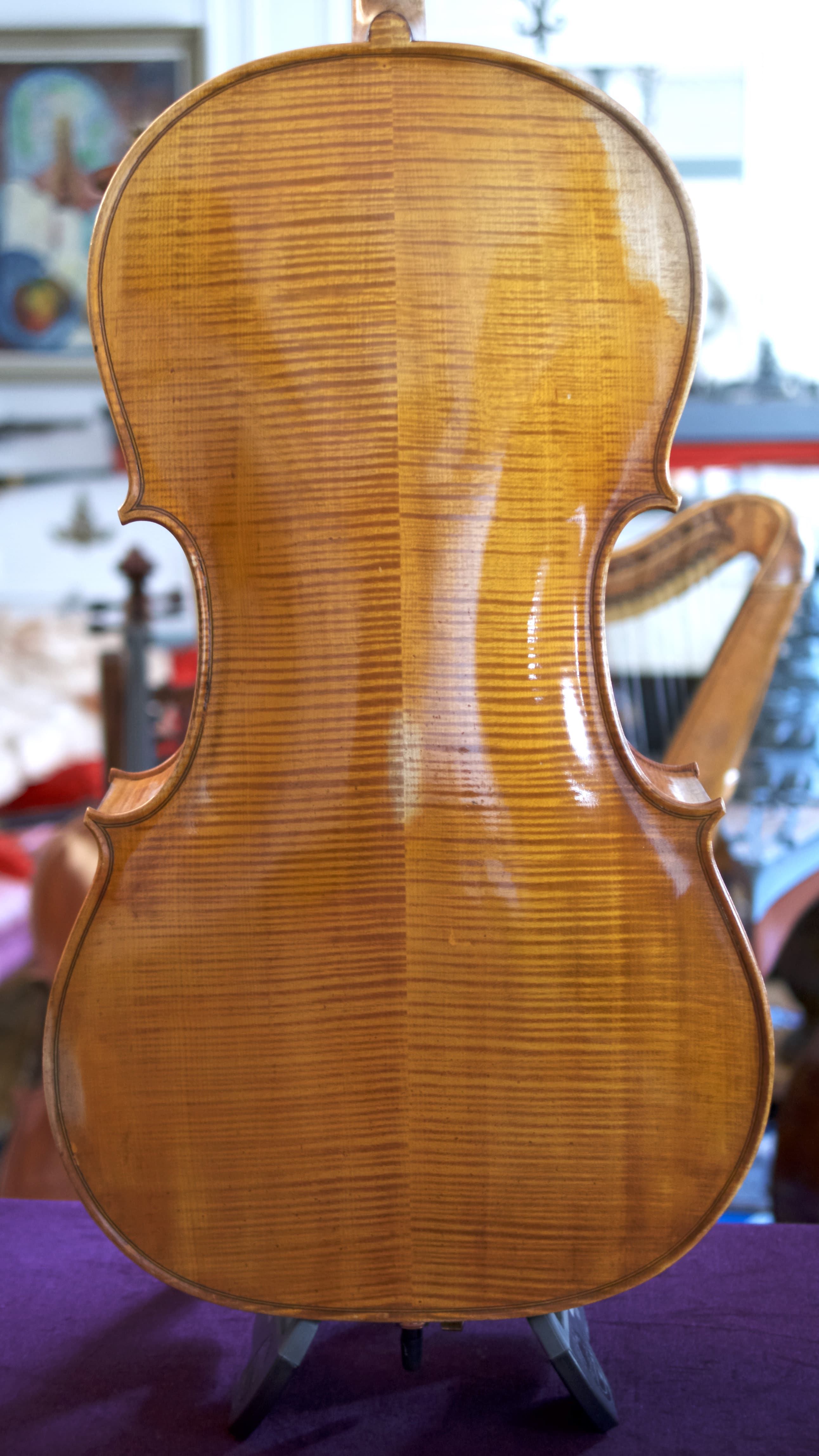 Cello-Cello-Giorgio-Corsini-back Cello Collection