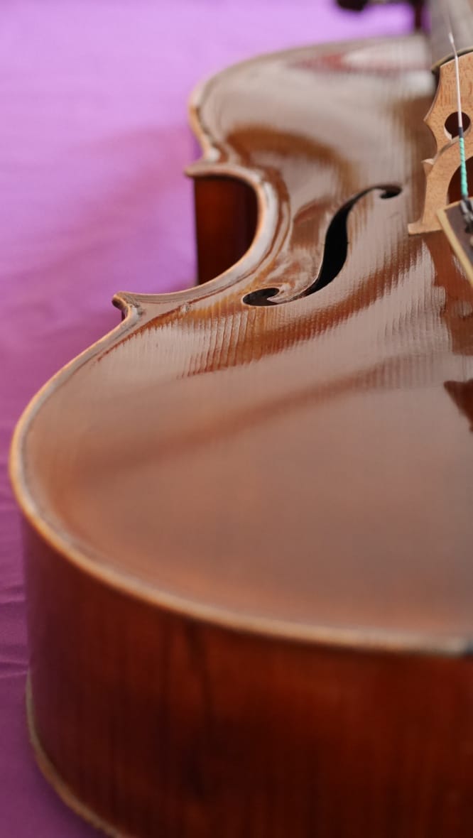 Cello-Fagnola-F-Hole Cello Collection