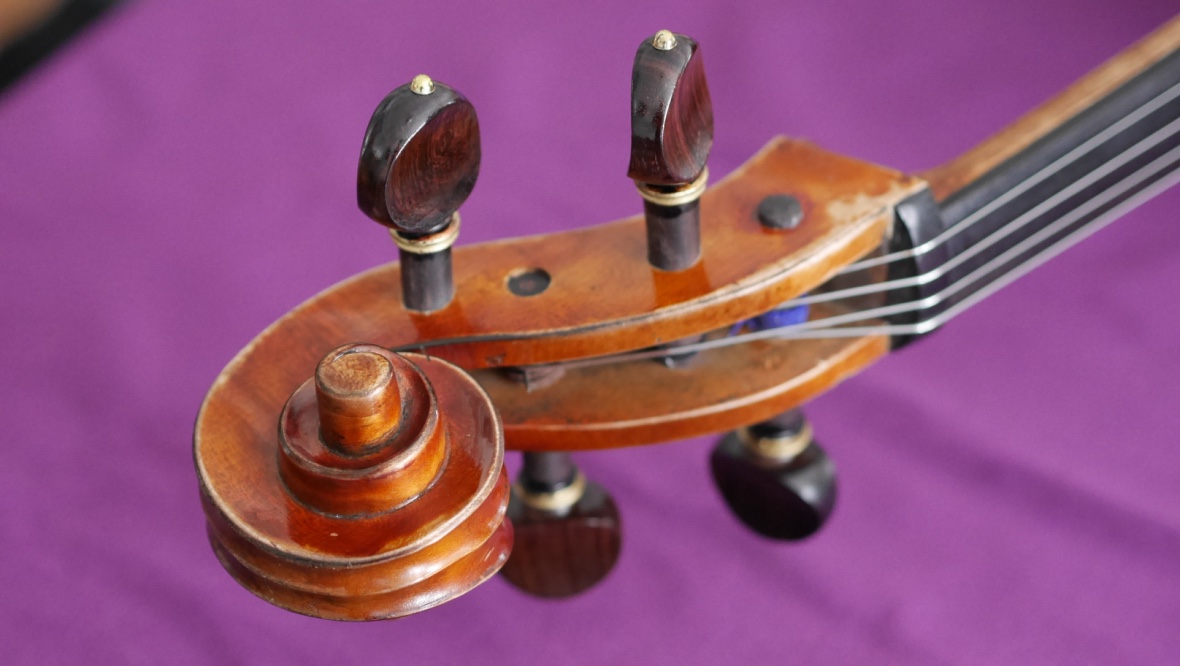 Cello-Fagnola-Head Cello Collection