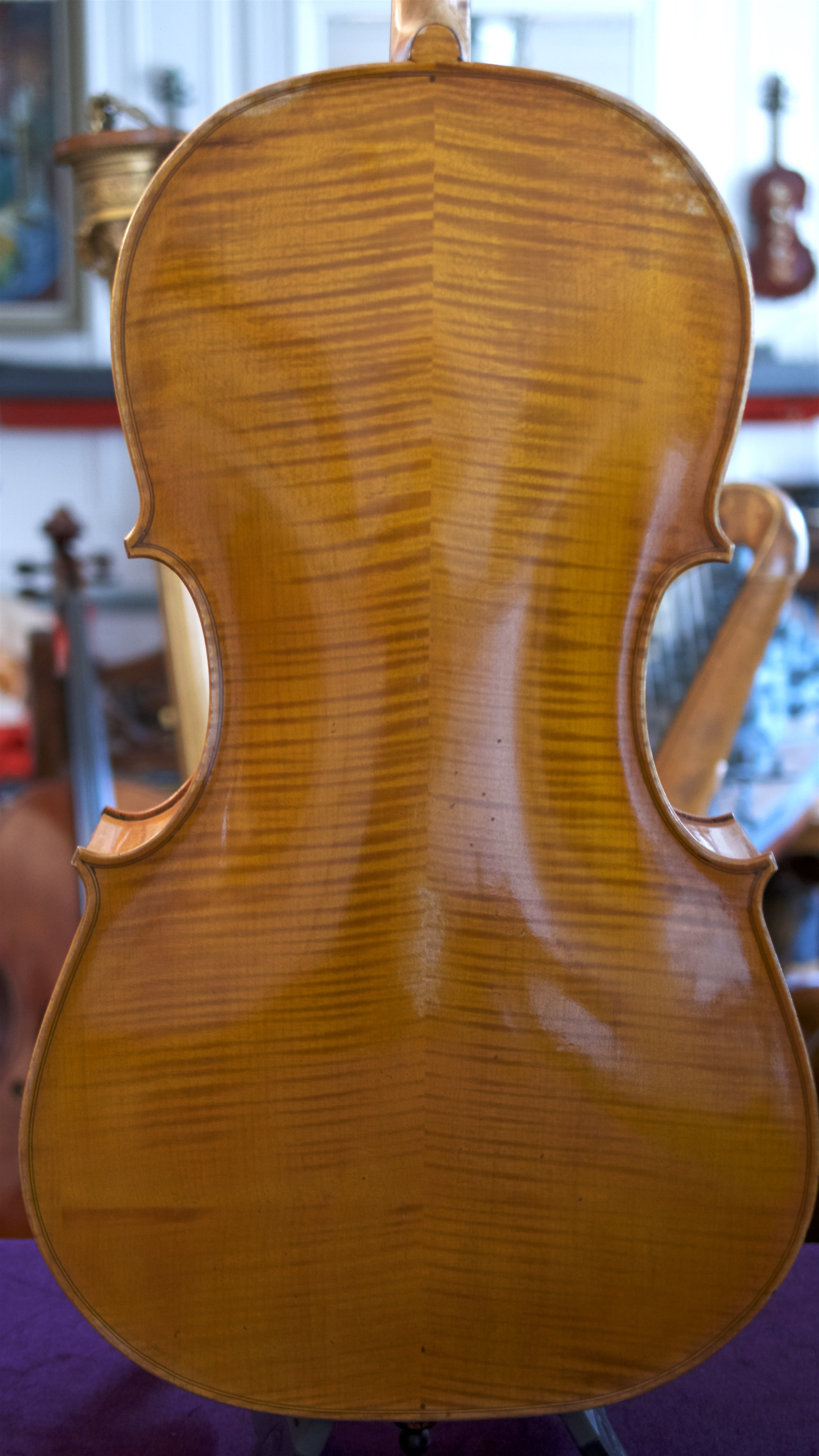 Cello-Giorgio-Corsini-Back Cello Collection