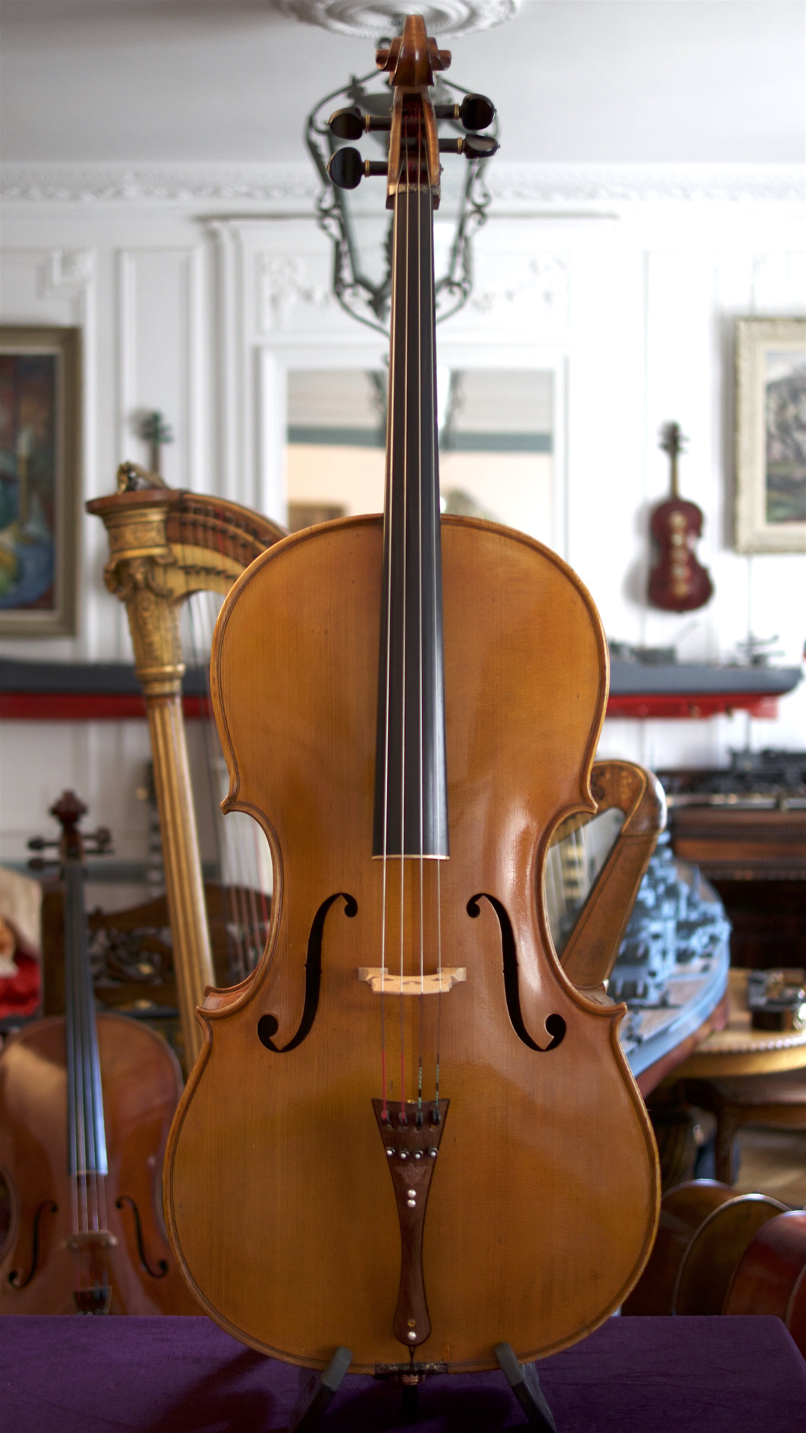 Cello-Cello-Giorgio-Corsini-Face Cello Collection