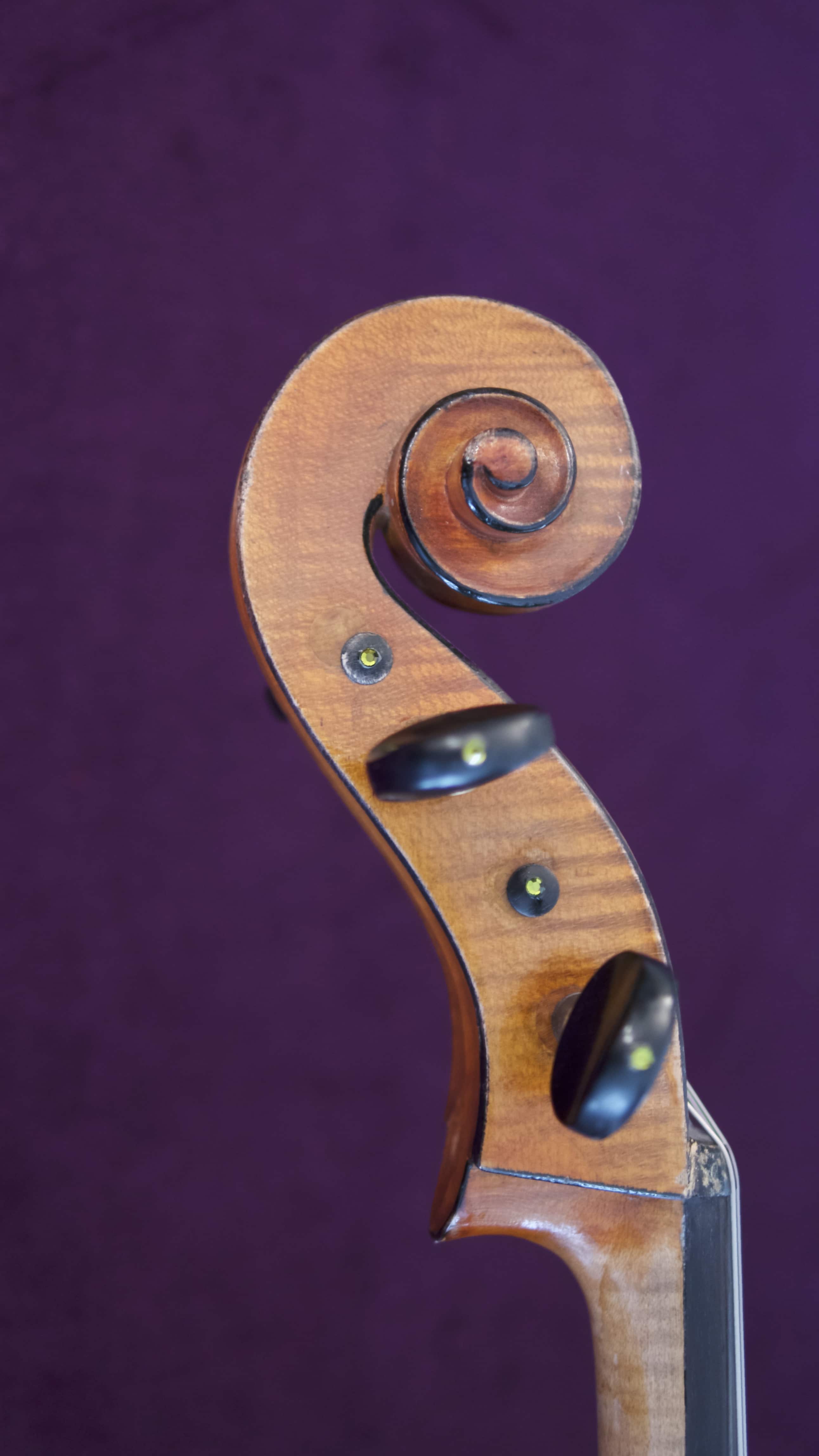 Cello-Cello-Giorgio-Corsini-Head Cello Collection