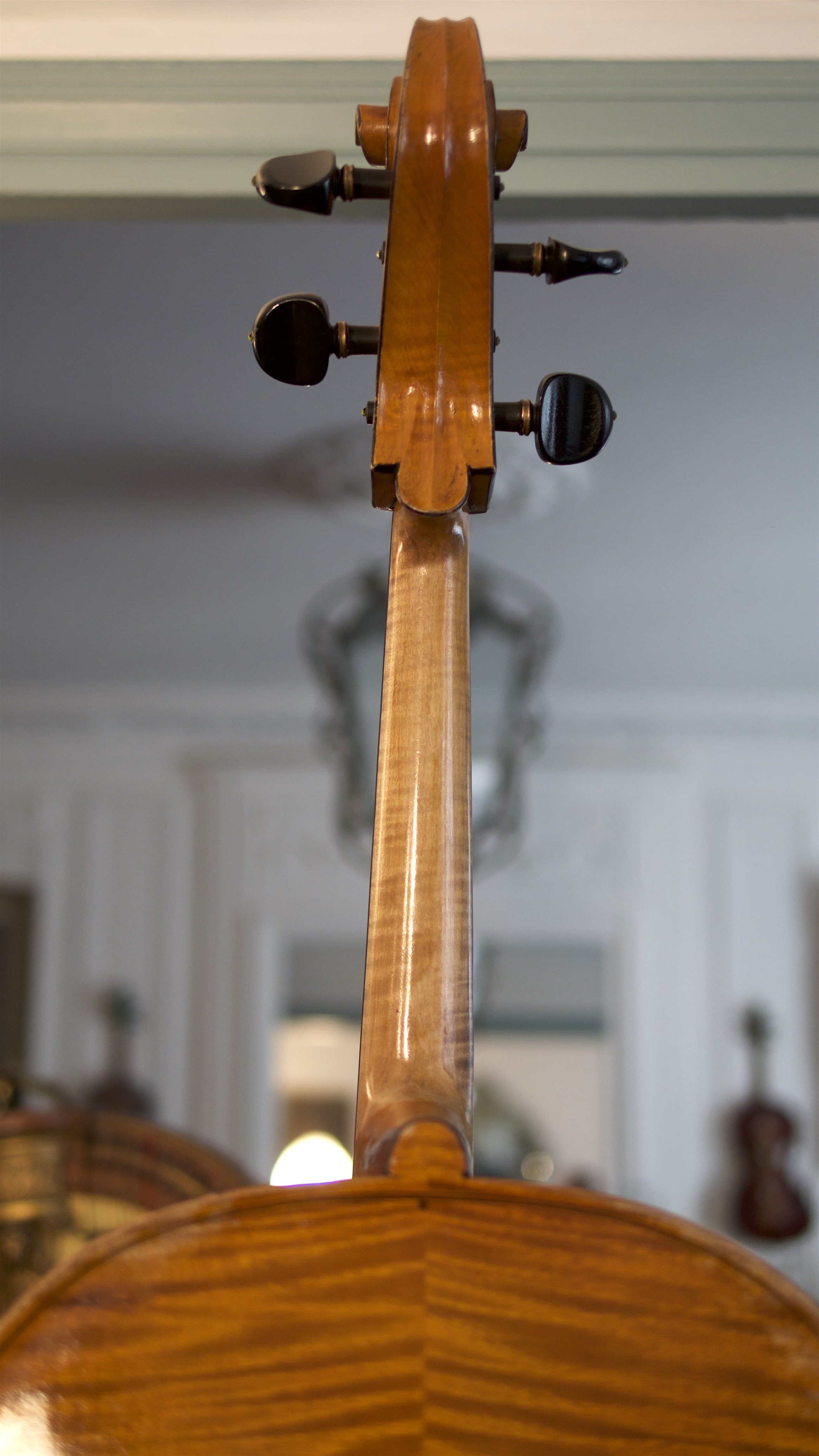 Cello-Giorgio-Corsini-Neck Cello Collection