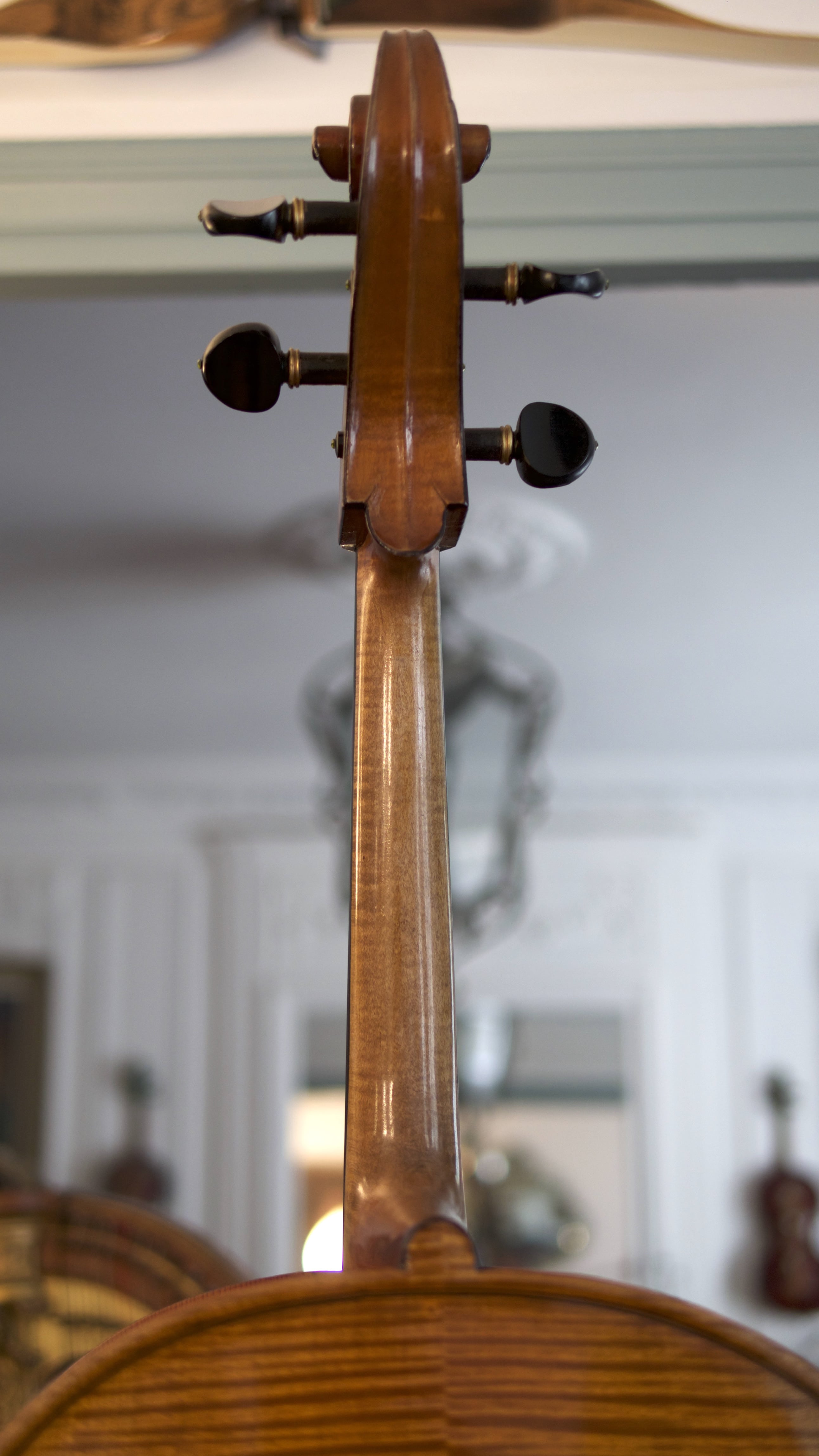 Cello-Cello-Giorgio-Corsini-Neck Cello Collection