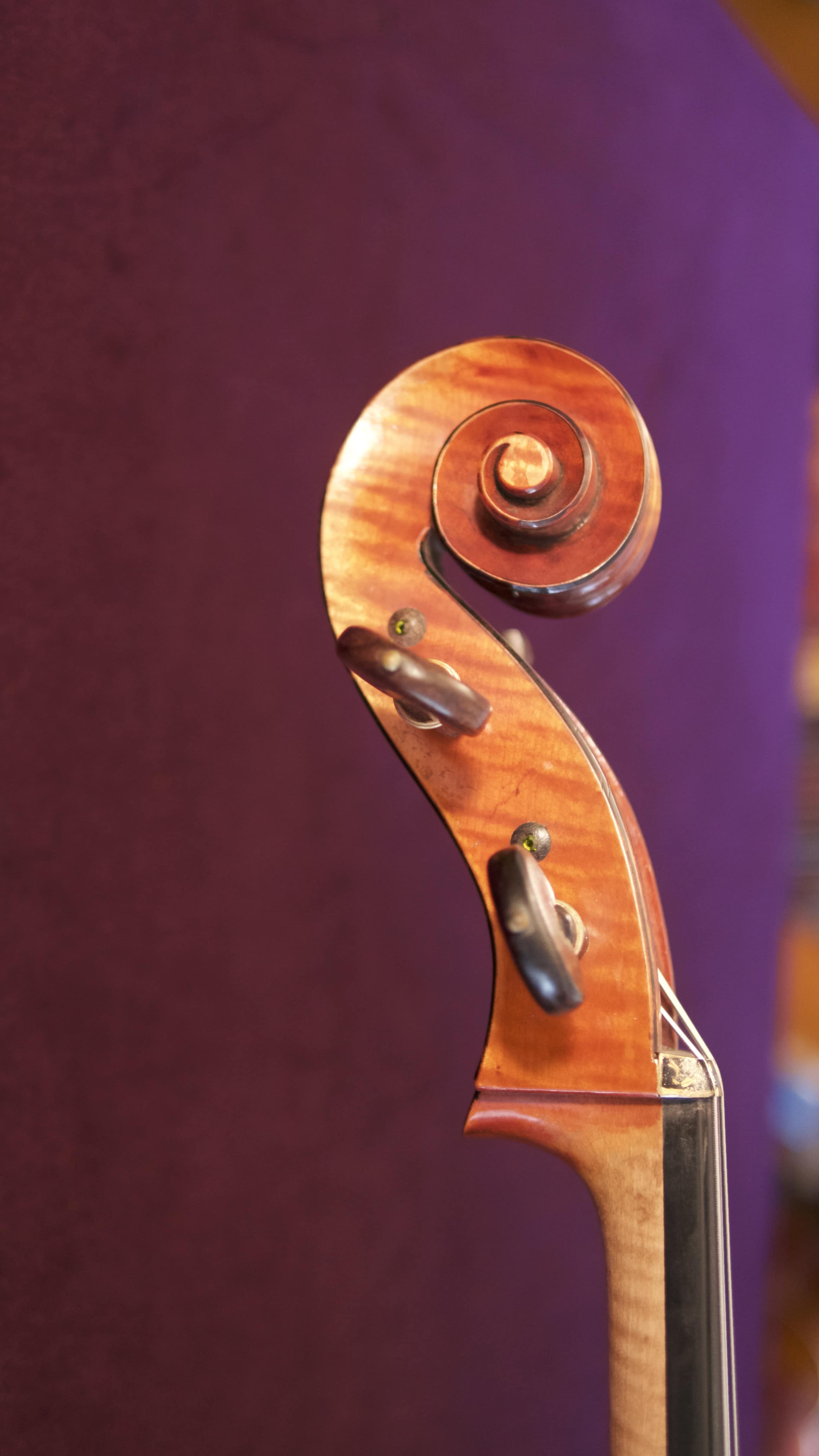 Cello-Giuseppe-Ornati-Head Cello Collection