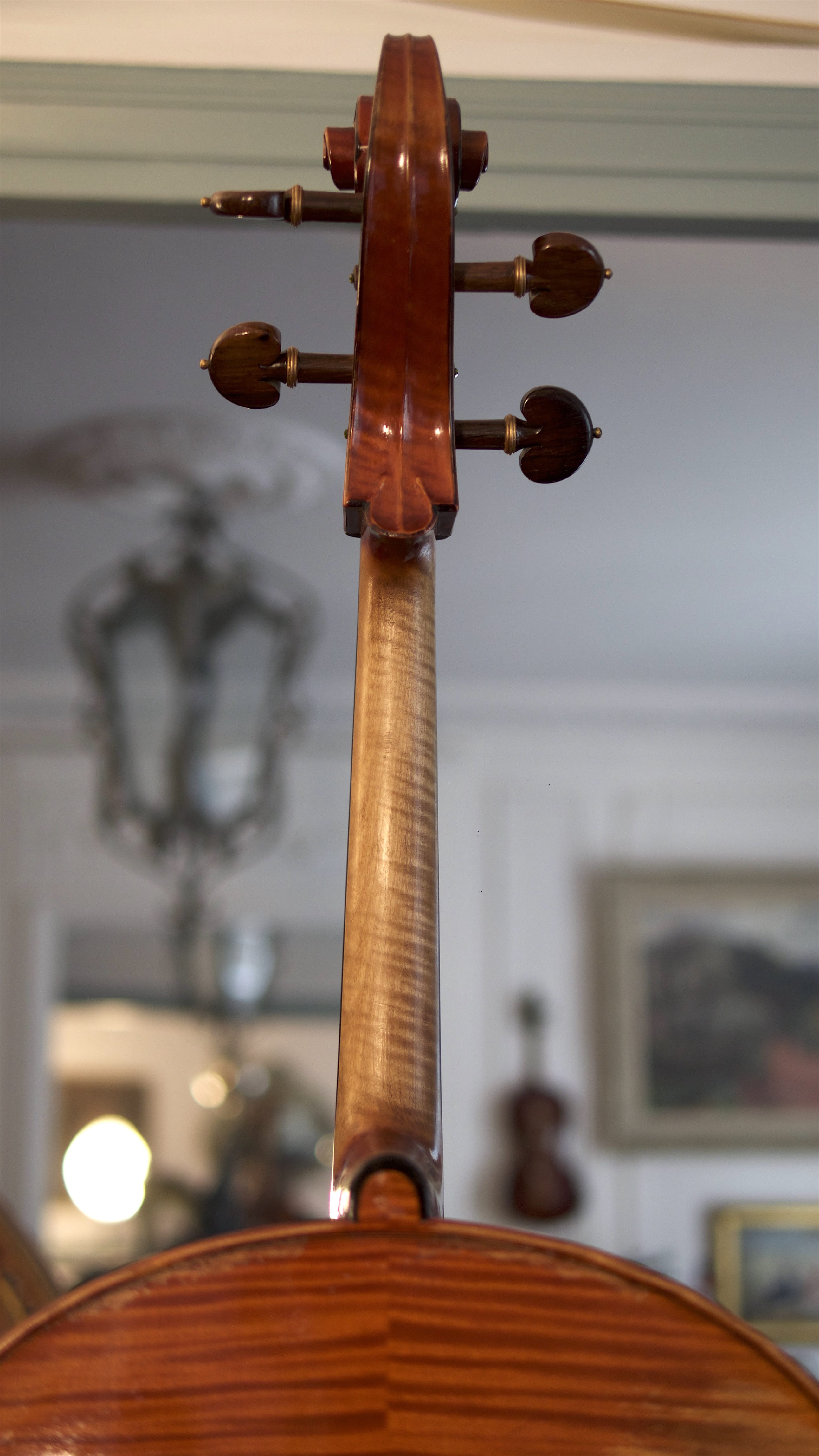 Cello-Giuseppe-Ornati-Neck Cello Collection