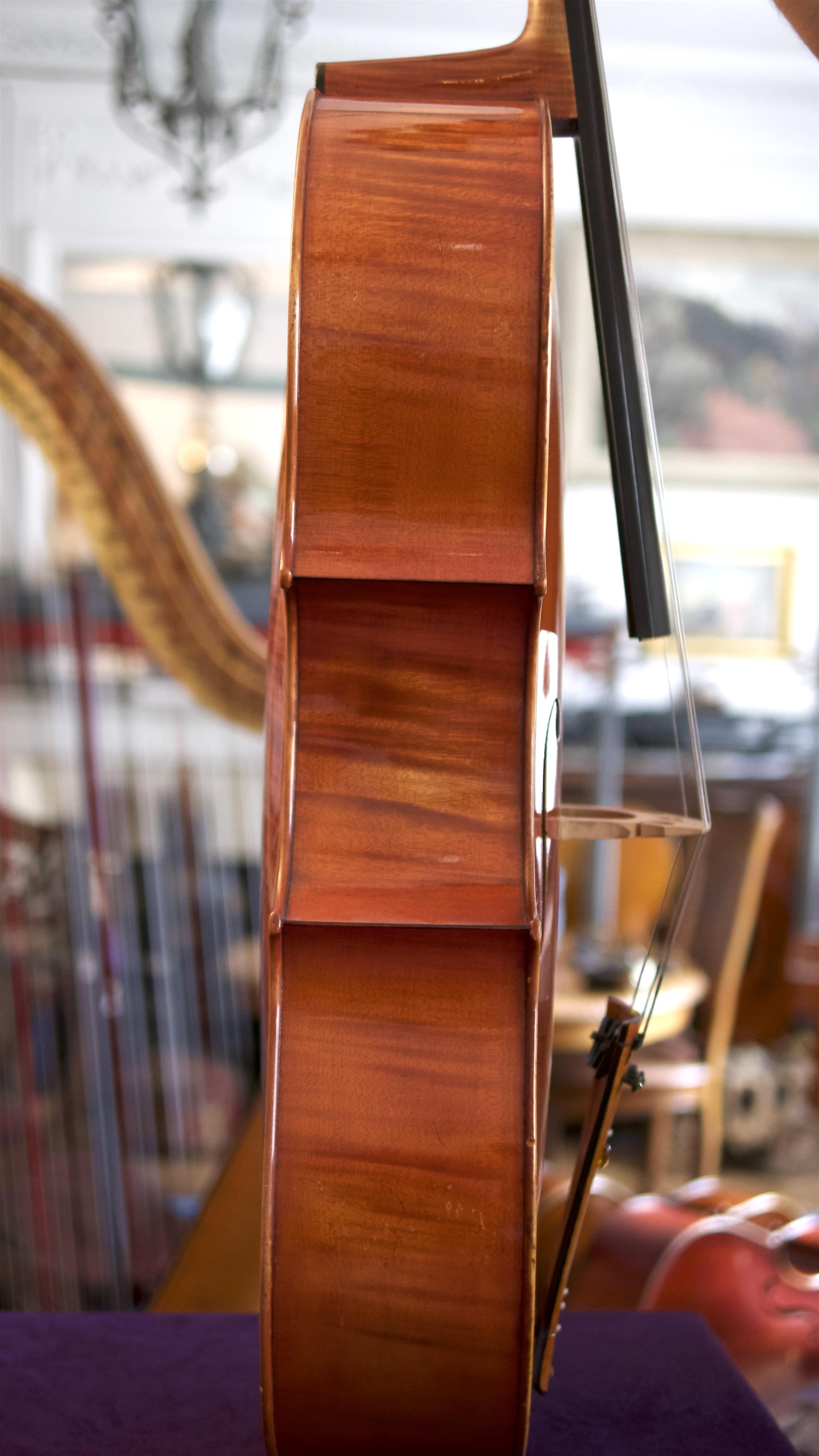 Cello-Giuseppe-Ornati-Side Cello Collection