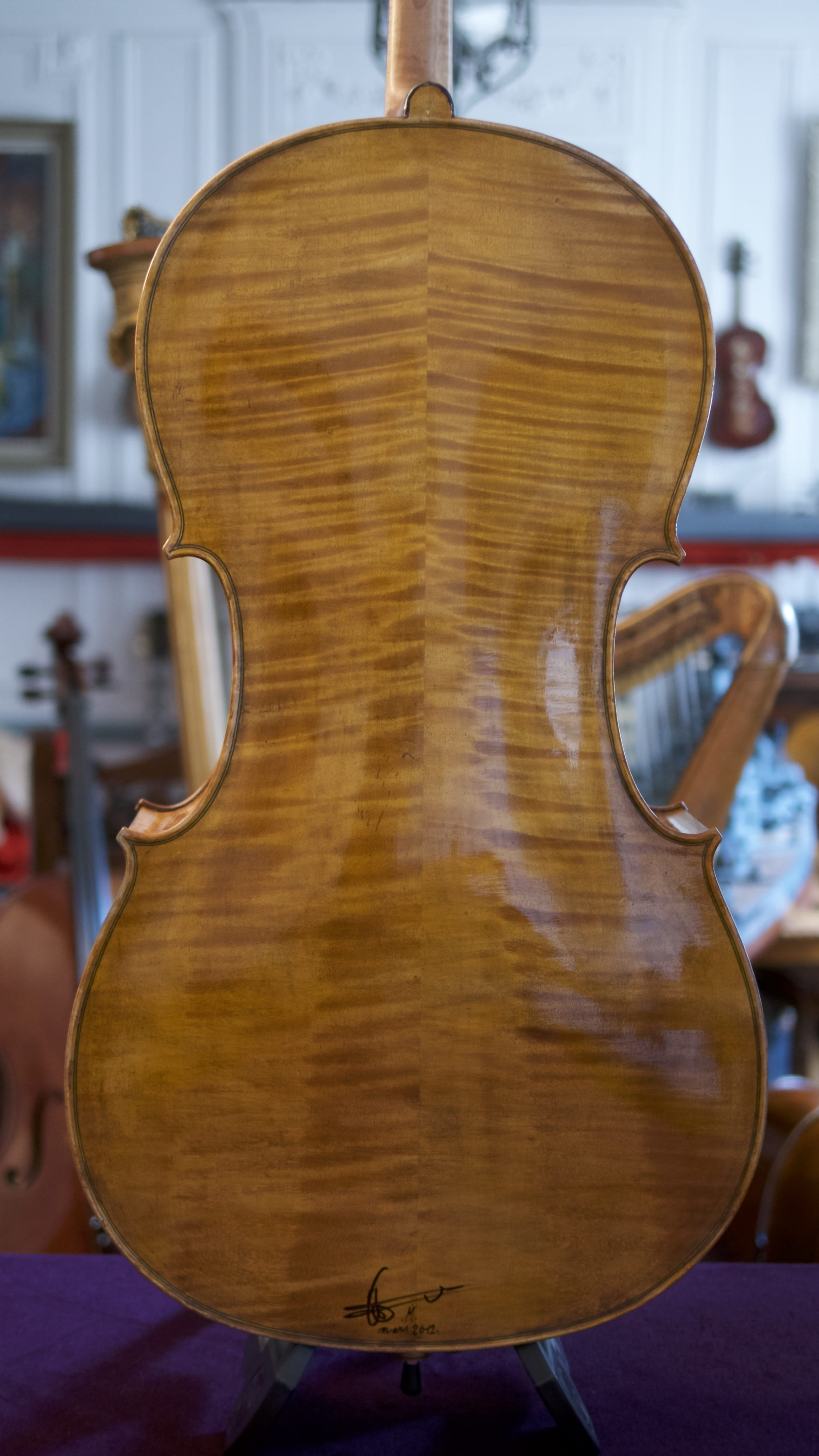 Cello-Luigi-Azzola-Back Cello Collection