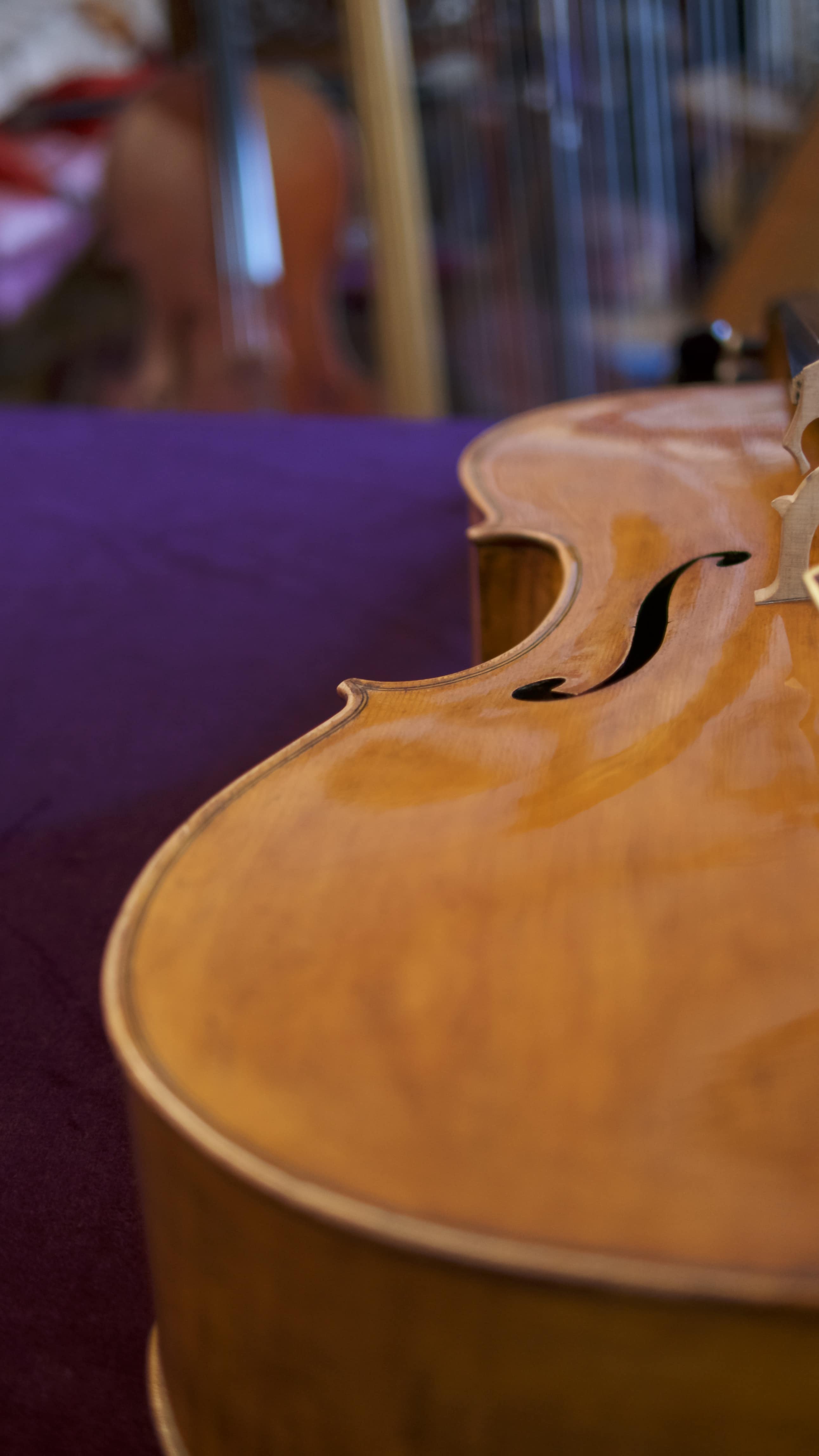 Cello-Luigi-Azzola-F Cello Collection