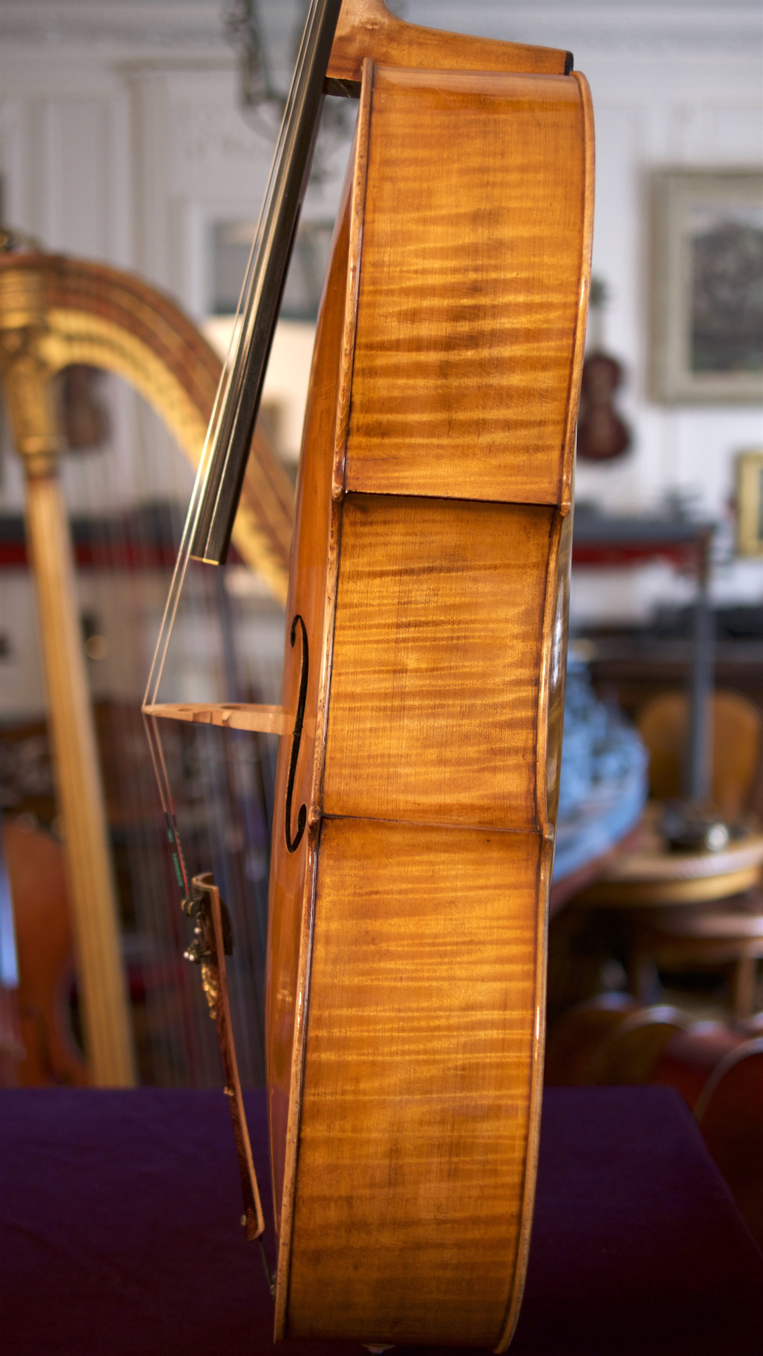 Cello-Luigi-Azzola-Side Cello Collection