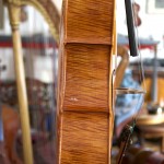 Cello-Mefistofele-Side Cello Collection