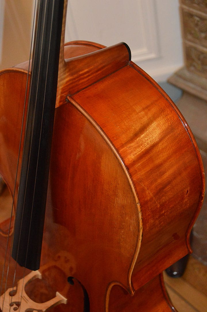 Cello Ornati Cello Collection