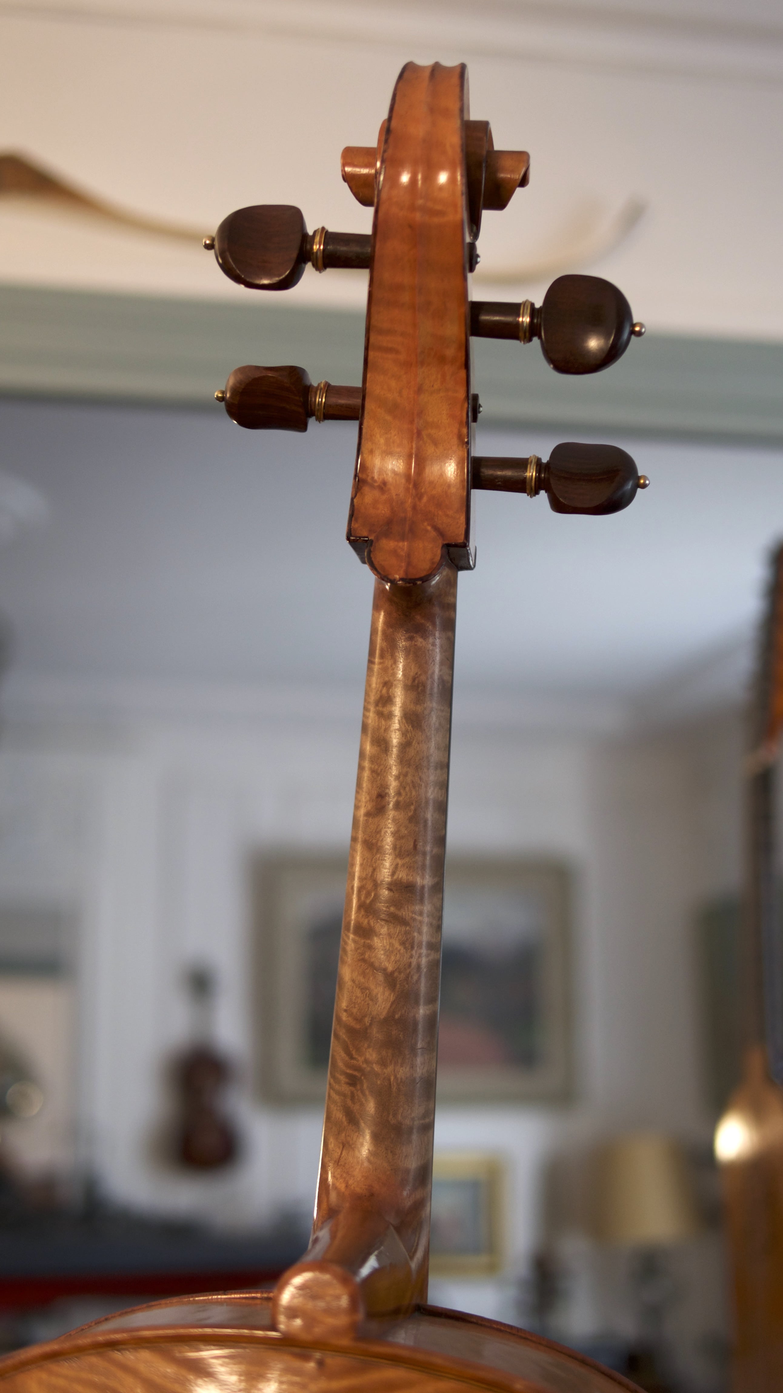 Cello-Romano-Clemente-Neck Cello Collection