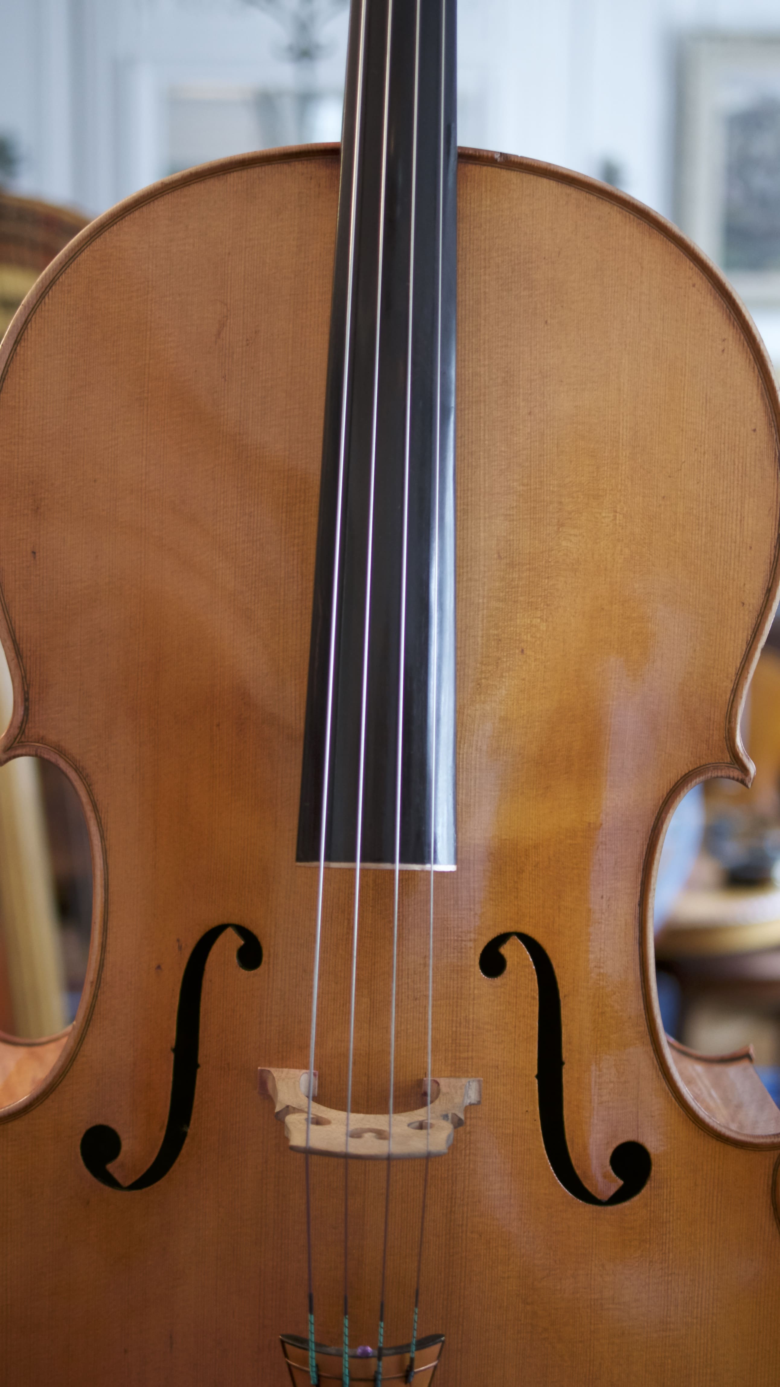 Cello-Romano-Clemente-Face1 Cello Collection