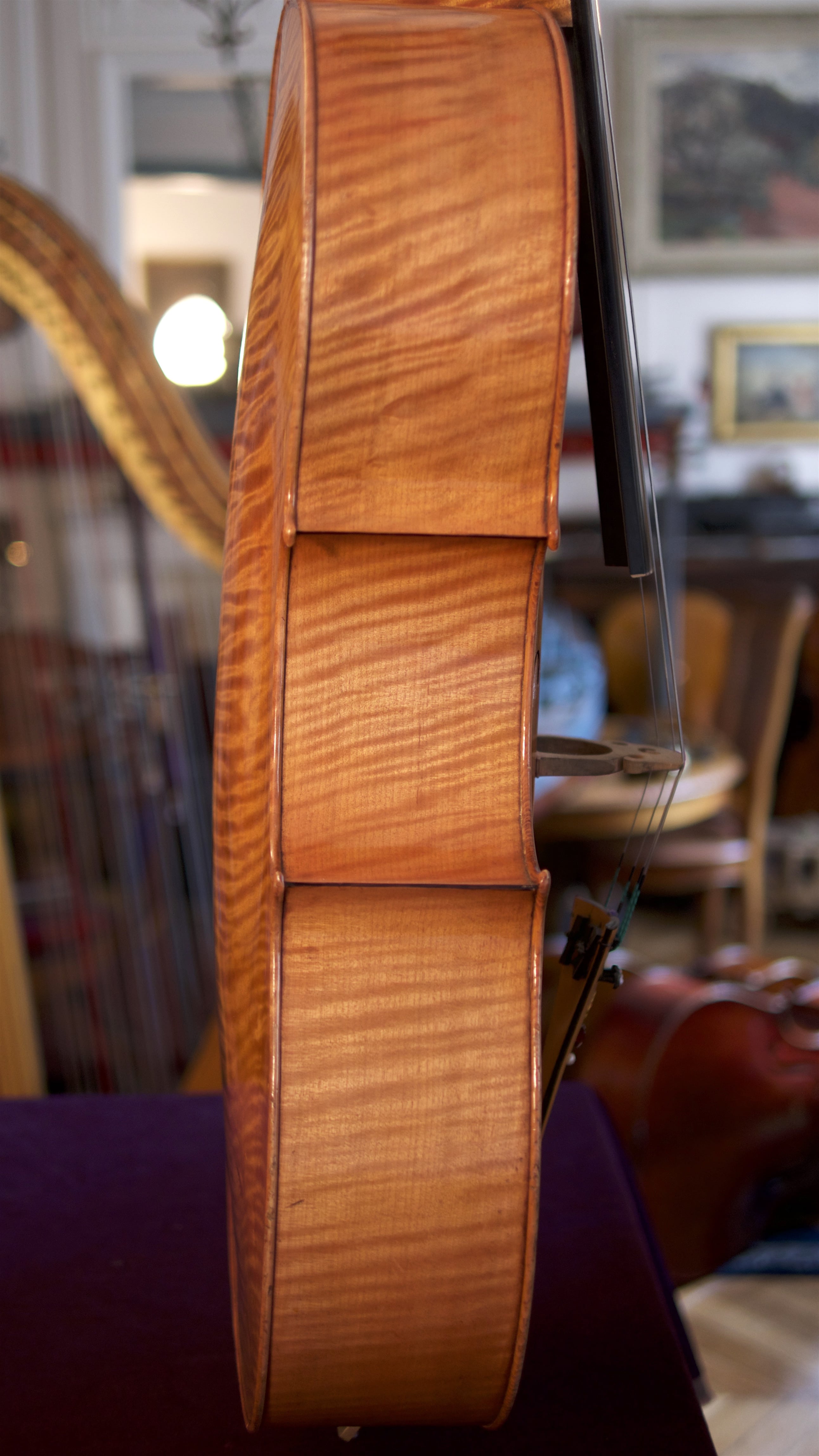 Cello-Romano-Clemente-Side Cello Collection