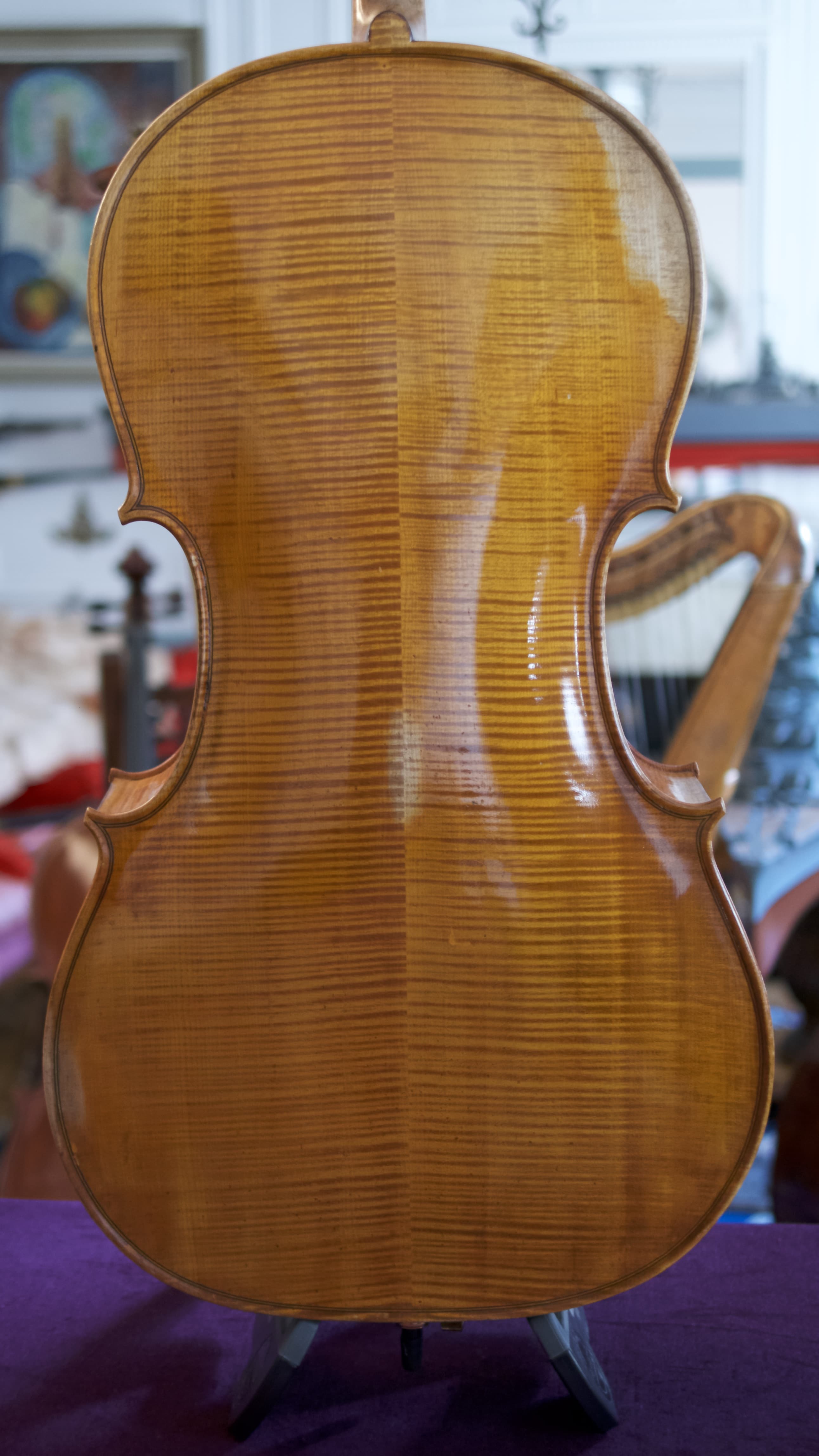 Cello-Stelio-Rossi-Back Cello Collection