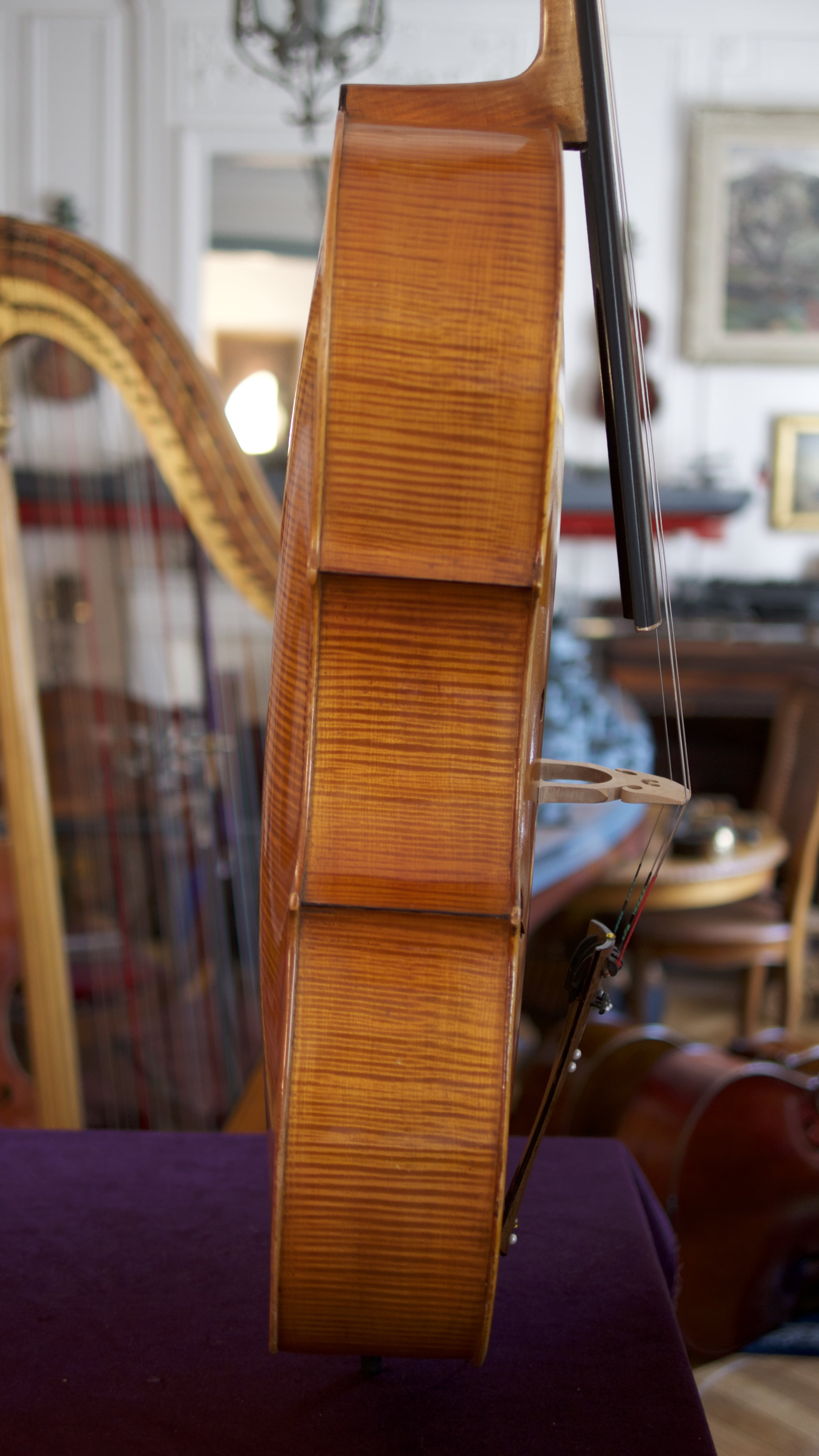 Cello-Stelio-Rossi-Side Cello Collection