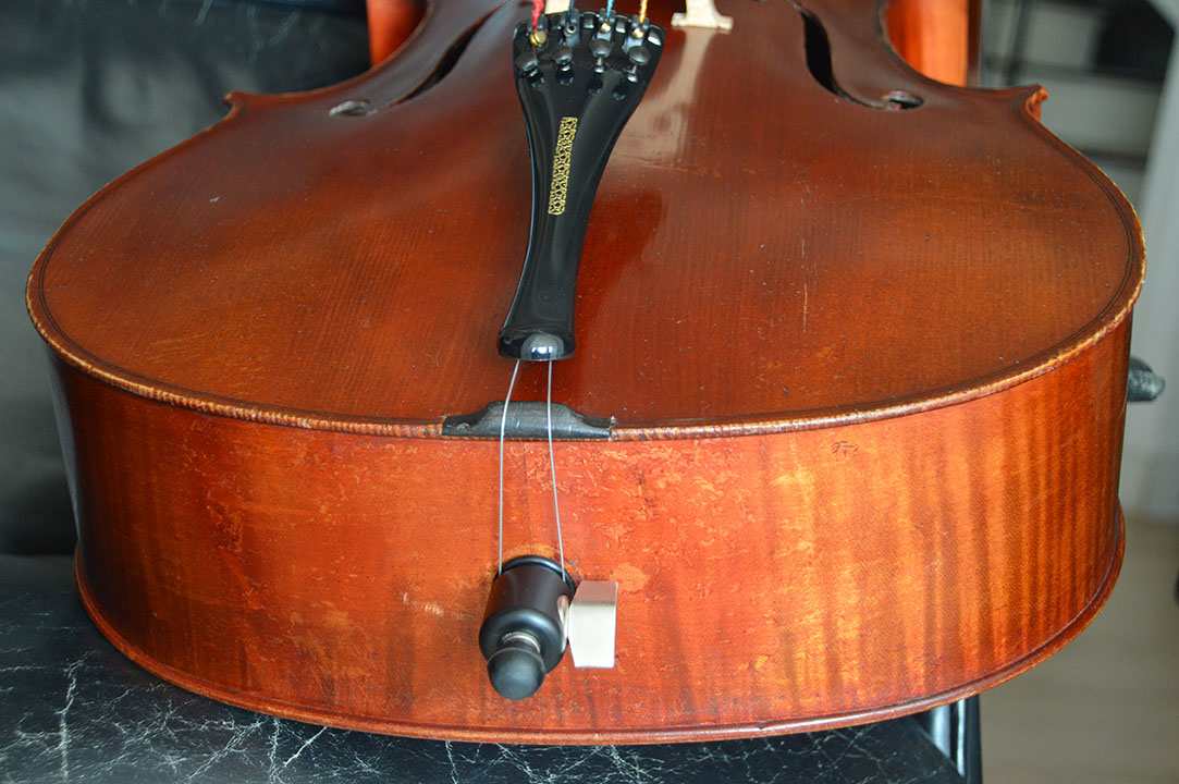 Cello-silvestre-maucotel Cello Collection