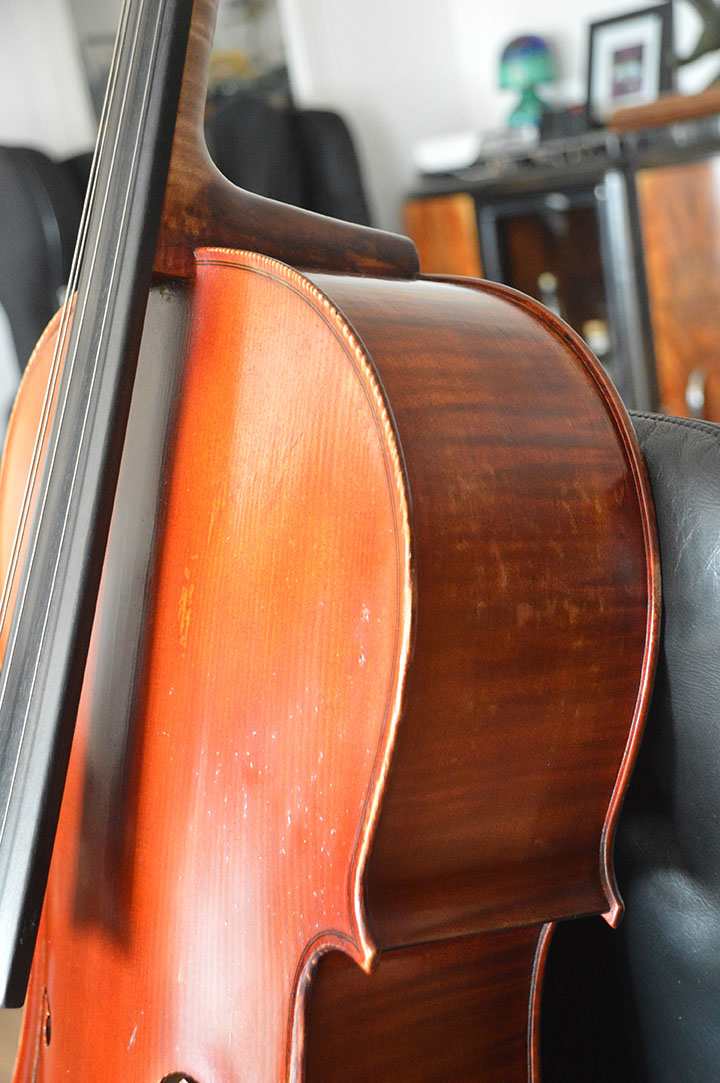 Cello-sylvestre-maucotel Cello Collection