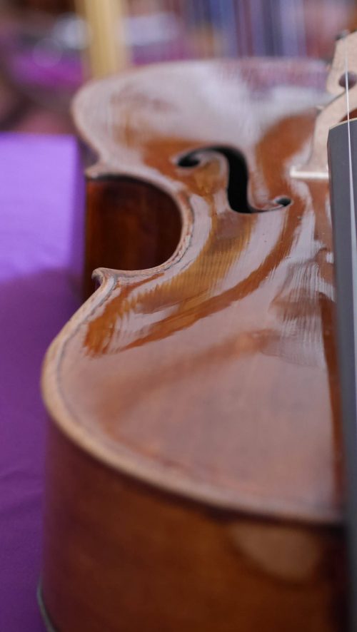 Italian-cello-unknown-f-hole1