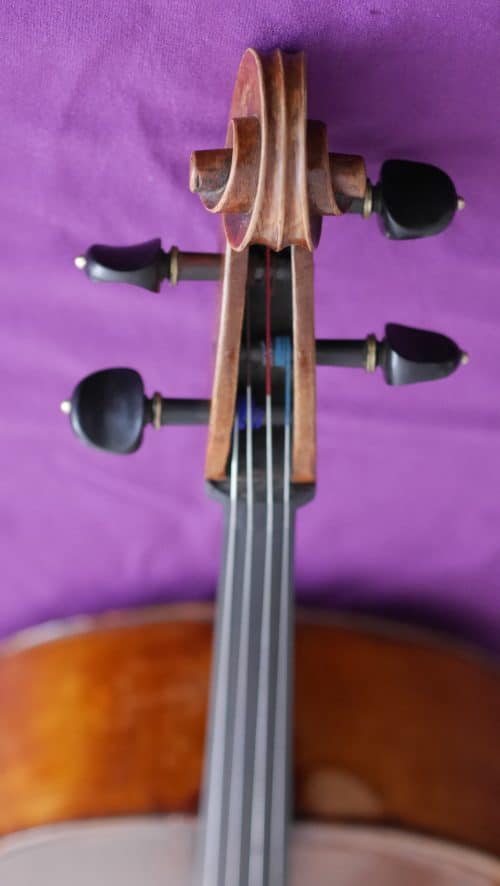 Italian-cello-unknown-head