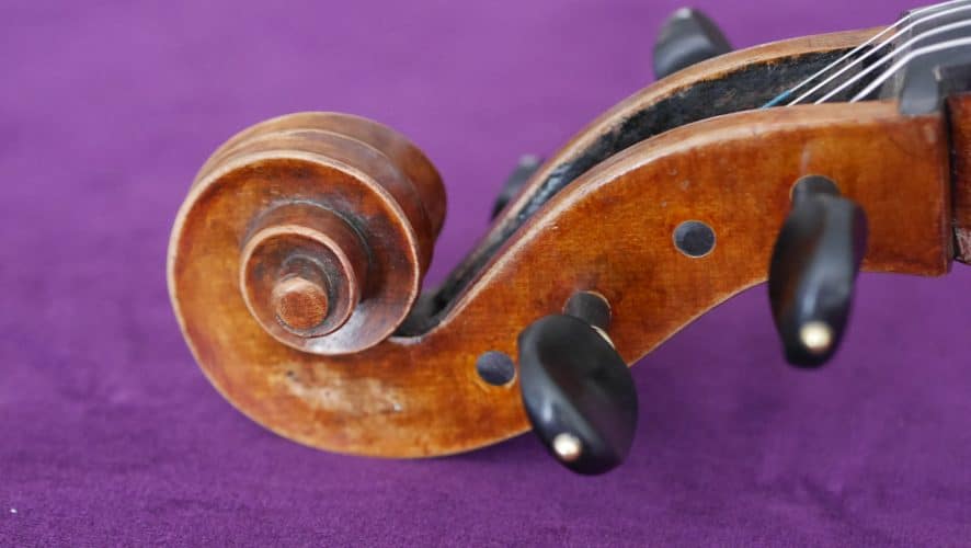 Italian-cello-unknown-head2