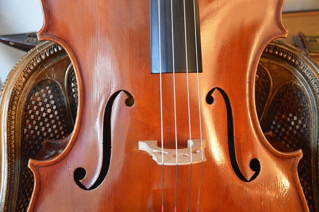 Cello Rovatti Cello Collection